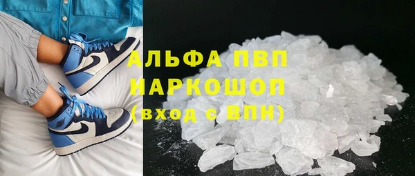 spice Дмитриев