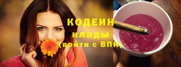 spice Дмитриев