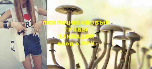 spice Дмитриев