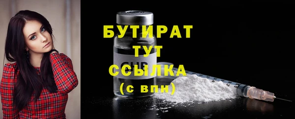spice Дмитриев