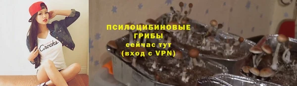 spice Дмитриев