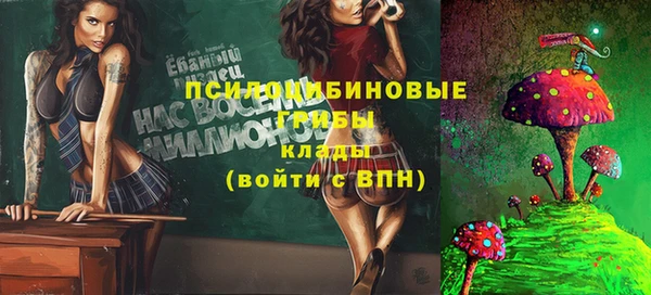 соль курить ск Дмитров