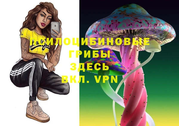 a pvp Осташков