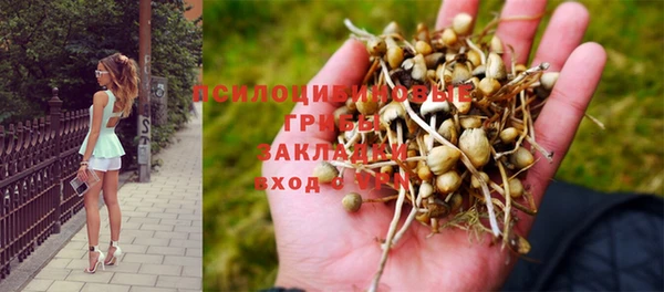 spice Дмитриев
