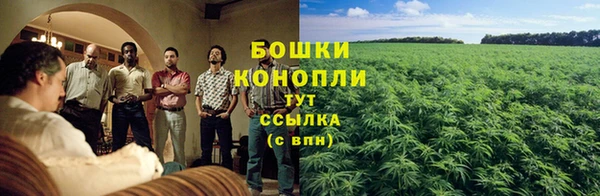 spice Дмитриев