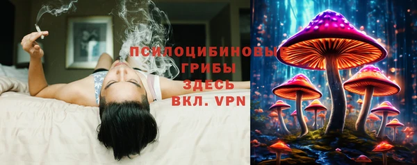 spice Дмитриев