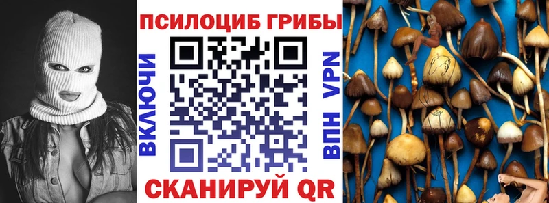 Галлюциногенные грибы ЛСД  кракен как войти  Новый Оскол 